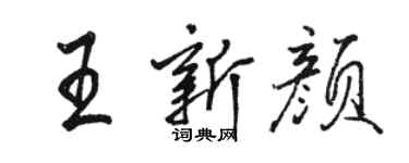 駱恆光王新顏行書個性簽名怎么寫