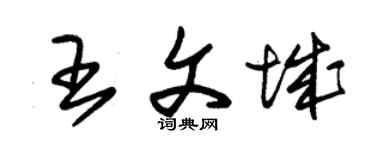 朱錫榮王文城草書個性簽名怎么寫