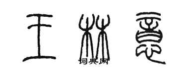 陳墨王林意篆書個性簽名怎么寫