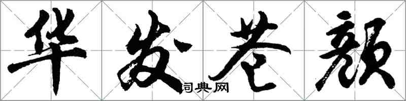 胡問遂華發蒼顏行書怎么寫