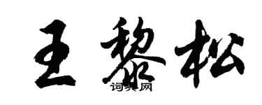 胡問遂王黎松行書個性簽名怎么寫