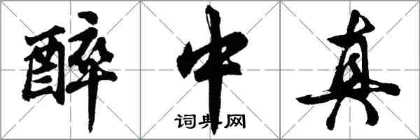 胡問遂醉中真行書怎么寫