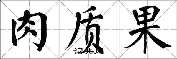 翁闓運肉質果楷書怎么寫