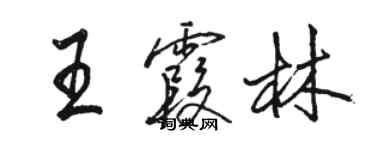 駱恆光王霞林行書個性簽名怎么寫