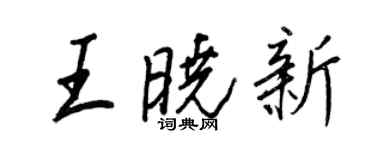 王正良王曉新行書個性簽名怎么寫