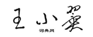 駱恆光王小翼草書個性簽名怎么寫