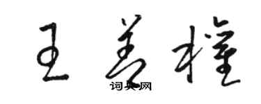 駱恆光王善權草書個性簽名怎么寫