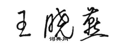 駱恆光王曉燕草書個性簽名怎么寫