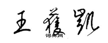 梁錦英王獲凱草書個性簽名怎么寫