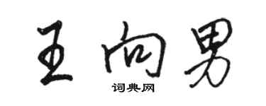 駱恆光王向男行書個性簽名怎么寫