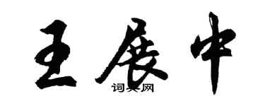 胡問遂王展中行書個性簽名怎么寫