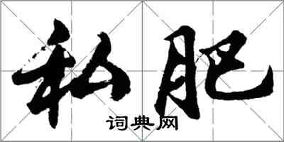 胡問遂私肥行書怎么寫