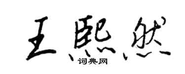 王正良王熙然行書個性簽名怎么寫