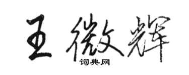 駱恆光王微輝行書個性簽名怎么寫