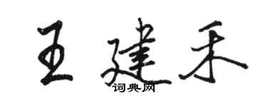 駱恆光王建禾行書個性簽名怎么寫