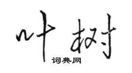 駱恆光葉樹行書個性簽名怎么寫