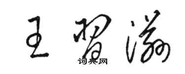 駱恆光王習滋草書個性簽名怎么寫