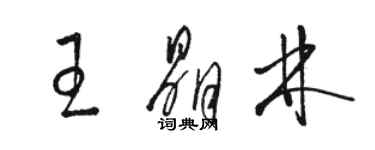 駱恆光王晶林草書個性簽名怎么寫