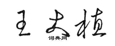 駱恆光王大植草書個性簽名怎么寫