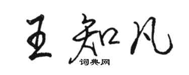 駱恆光王知凡行書個性簽名怎么寫
