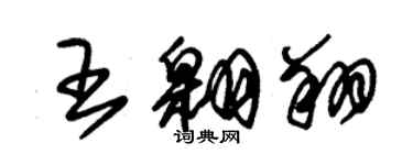 朱錫榮王翱翔草書個性簽名怎么寫