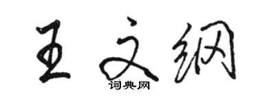 駱恆光王文綱行書個性簽名怎么寫