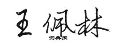 駱恆光王佩林行書個性簽名怎么寫