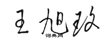 駱恆光王旭玫草書個性簽名怎么寫
