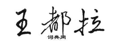 駱恆光王都拉行書個性簽名怎么寫