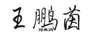 駱恆光王鵬茵行書個性簽名怎么寫