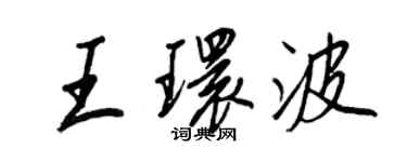 王正良王環波行書個性簽名怎么寫