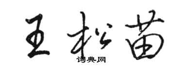 駱恆光王松苗行書個性簽名怎么寫