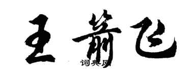 胡問遂王箭飛行書個性簽名怎么寫