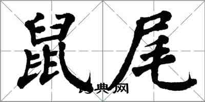 翁闓運鼠尾楷書怎么寫