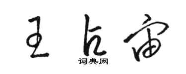 駱恆光王占宙草書個性簽名怎么寫