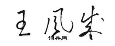駱恆光王風成草書個性簽名怎么寫