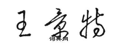 駱恆光王景特草書個性簽名怎么寫