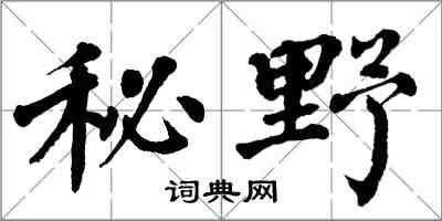 翁闓運秘野楷書怎么寫