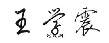 駱恆光王學震行書個性簽名怎么寫