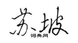 駱恆光蘇坡行書個性簽名怎么寫