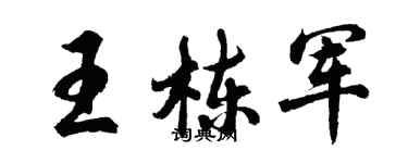 胡問遂王棟軍行書個性簽名怎么寫