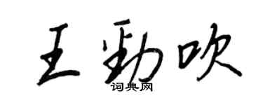 王正良王勁吹行書個性簽名怎么寫