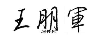 王正良王朋軍行書個性簽名怎么寫