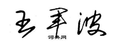 朱錫榮王軍波草書個性簽名怎么寫