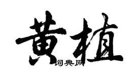 胡問遂黃植行書個性簽名怎么寫