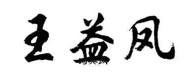 胡問遂王益鳳行書個性簽名怎么寫