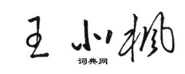 駱恆光王北楓草書個性簽名怎么寫