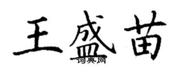 丁謙王盛苗楷書個性簽名怎么寫