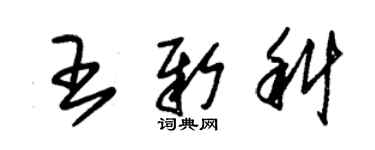 朱錫榮王新科草書個性簽名怎么寫