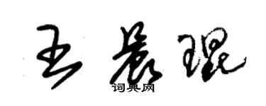 朱錫榮王晨琨草書個性簽名怎么寫